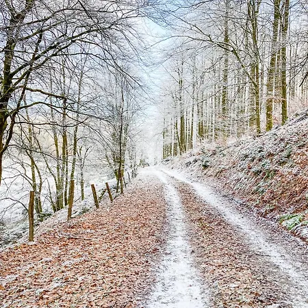 Luxury In Der Alten Schule Apartament *