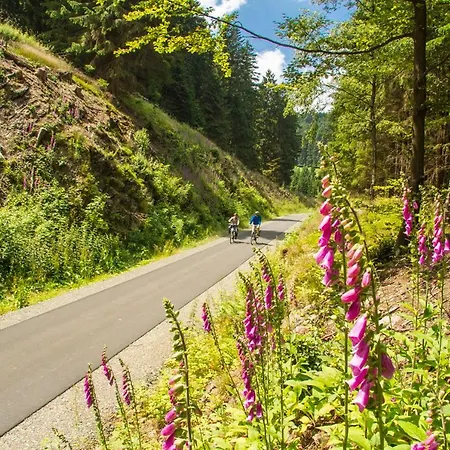 Luxury In Der Alten Schule