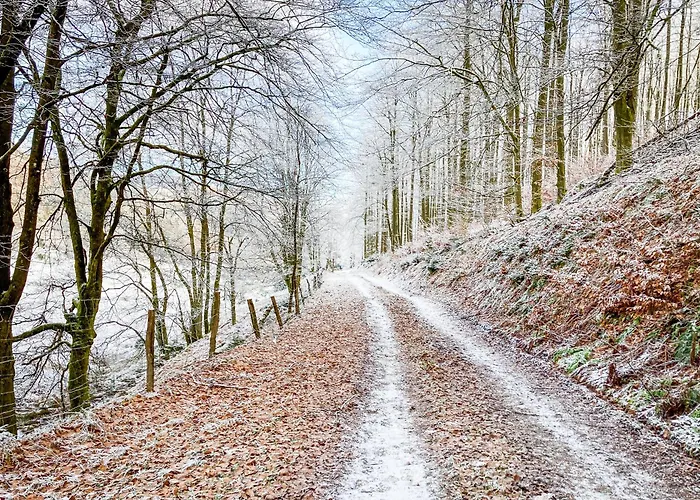 Luxury In Der Alten Schule Appartement *